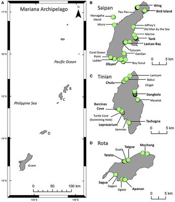 Endangered Green Turtles (Chelonia mydas) of the Northern Mariana Islands: Nesting Ecology, Poaching, and Climate Concerns